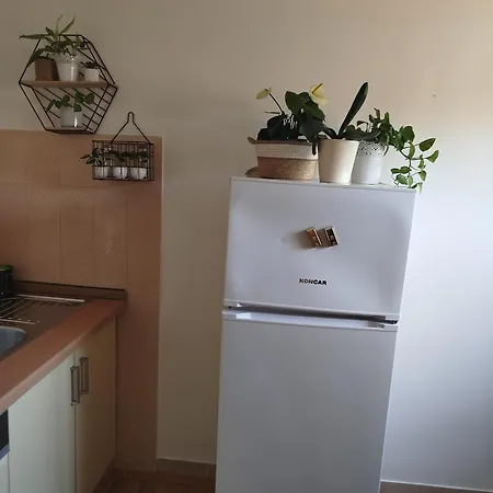 In The Palace Πανσιόν