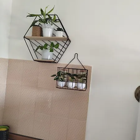 In The Palace Penzion